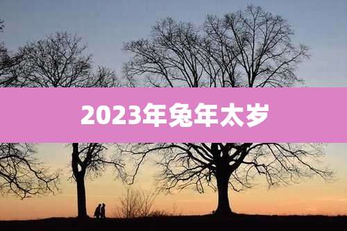 2023年兔年太岁