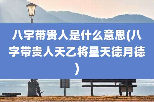 八字带贵人是什么意思(八字带贵人天乙将星天德月德)
