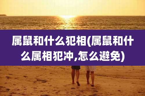 属鼠和什么犯相(属鼠和什么属相犯冲,怎么避免)