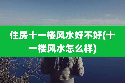 住房十一楼风水好不好(十一楼风水怎么样)