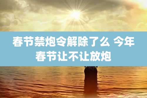 春节禁炮令解除了么 今年春节让不让放炮