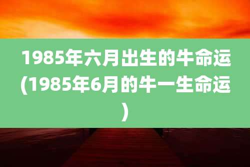 1985年六月出生的牛命运(1985年6月的牛一生命运)