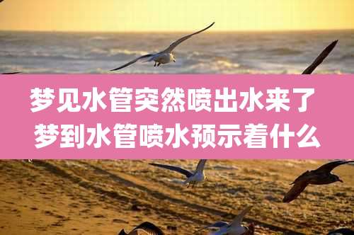 梦见水管突然喷出水来了 梦到水管喷水预示着什么
