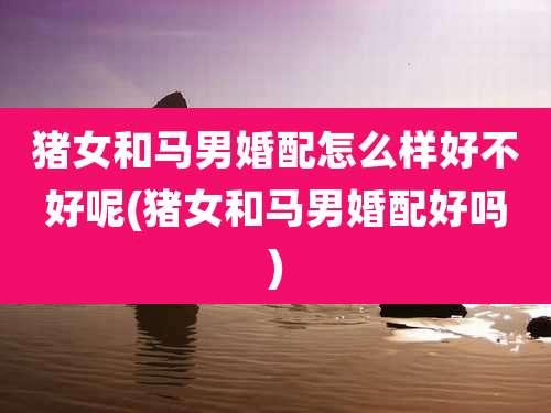 猪女和马男婚配怎么样好不好呢(猪女和马男婚配好吗)