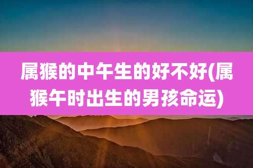属猴的中午生的好不好(属猴午时出生的男孩命运)