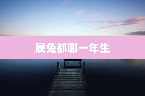 属兔都哪一年生