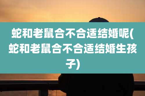 蛇和老鼠合不合适结婚呢(蛇和老鼠合不合适结婚生孩子)