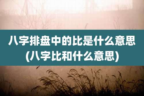 八字排盘中的比是什么意思(八字比和什么意思)