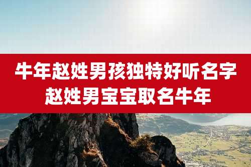 牛年赵姓男孩独特好听名字 赵姓男宝宝取名牛年