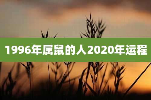 1996年属鼠的人2020年运程