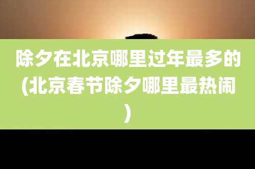 除夕在北京哪里过年最多的(北京春节除夕哪里最热闹)