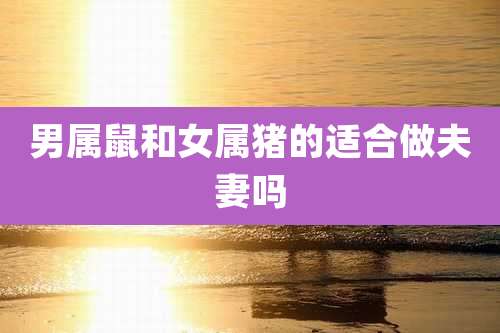 男属鼠和女属猪的适合做夫妻吗