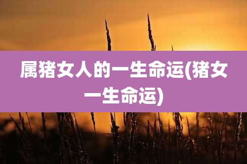 属猪女人的一生命运(猪女一生命运)