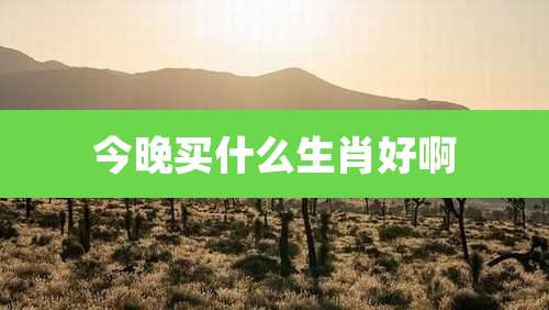 今晚买什么生肖好啊