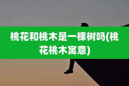 桃花和桃木是一棵树吗(桃花桃木寓意)
