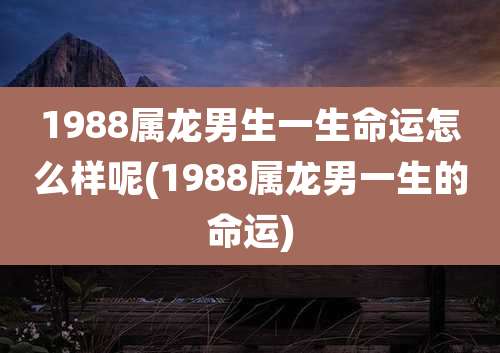 1988属龙男生一生命运怎么样呢(1988属龙男一生的命运)