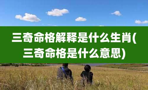 三奇命格解释是什么生肖(三奇命格是什么意思)