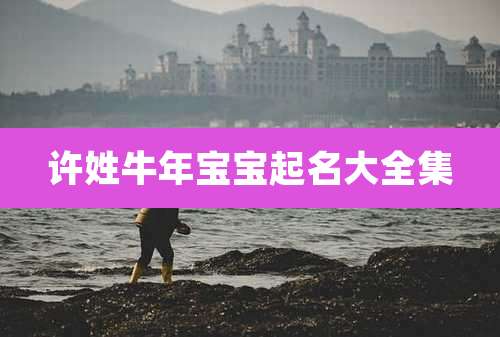 许姓牛年宝宝起名大全集