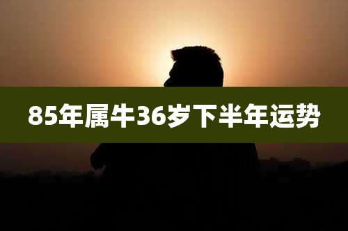 85年属牛36岁下半年运势