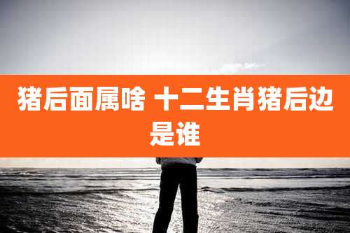 猪后面属啥 十二生肖猪后边是谁