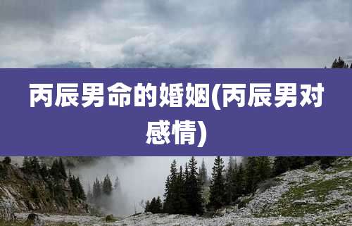 丙辰男命的婚姻(丙辰男对感情)