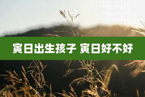寅日出生孩子 寅日好不好