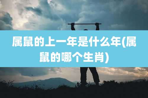 属鼠的上一年是什么年(属鼠的哪个生肖)