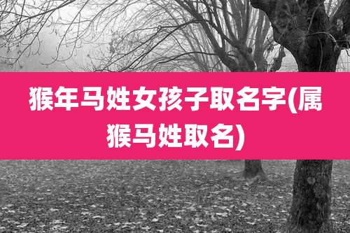 猴年马姓女孩子取名字(属猴马姓取名)