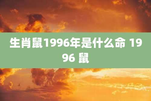 生肖鼠1996年是什么命 1996 鼠