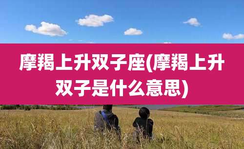 摩羯上升双子座(摩羯上升双子是什么意思)
