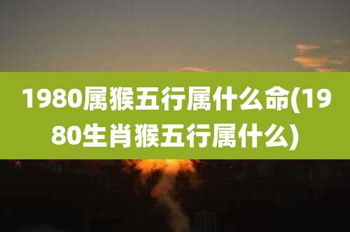 1980属猴五行属什么命(1980生肖猴五行属什么)