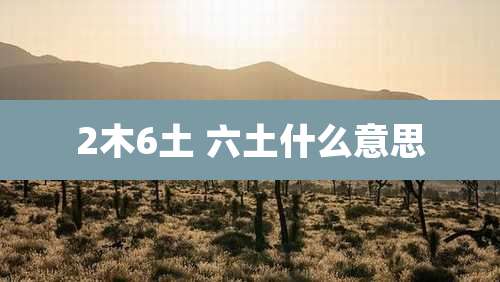 2木6土 六土什么意思