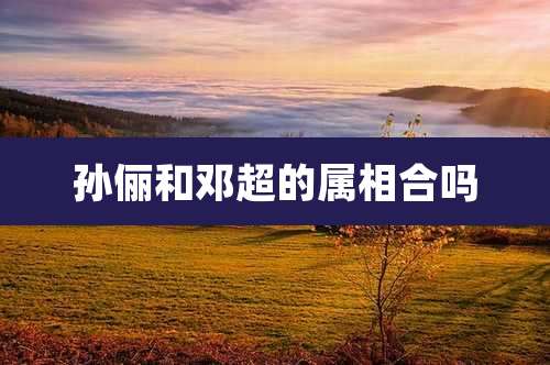 孙俪和邓超的属相合吗