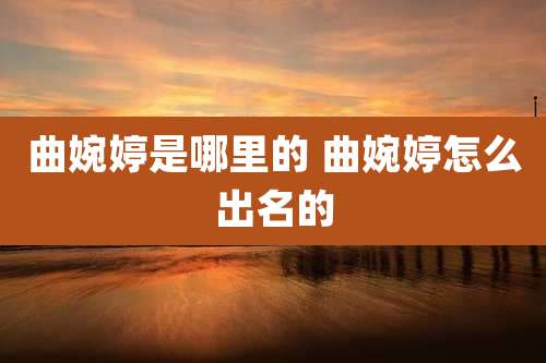 曲婉婷是哪里的 曲婉婷怎么出名的
