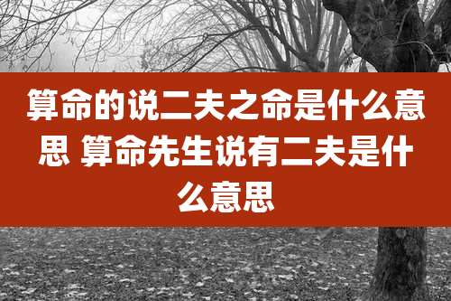 算命的说二夫之命是什么意思 算命先生说有二夫是什么意思
