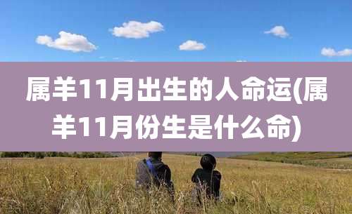 属羊11月出生的人命运(属羊11月份生是什么命)