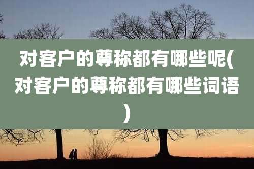 对客户的尊称都有哪些呢(对客户的尊称都有哪些词语)