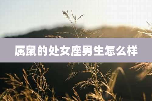 属鼠的处女座男生怎么样