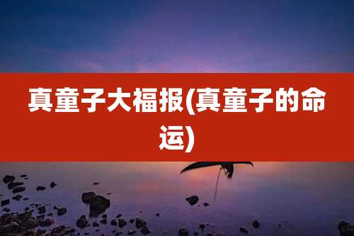 真童子大福报(真童子的命运)