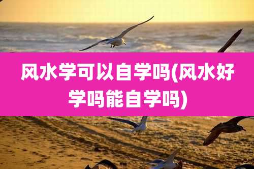 风水学可以自学吗(风水好学吗能自学吗)
