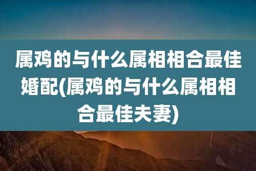 属鸡的与什么属相相合最佳婚配(属鸡的与什么属相相合最佳夫妻)