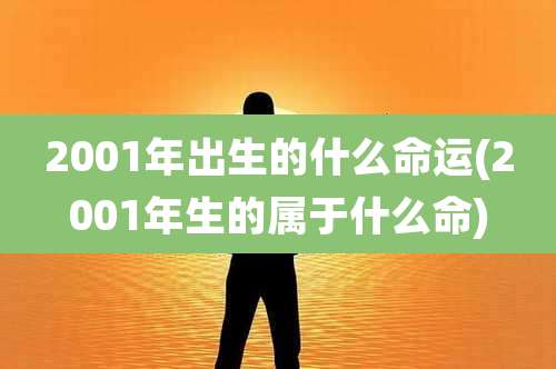 2001年出生的什么命运(2001年生的属于什么命)