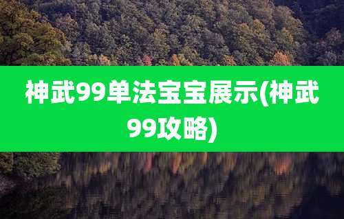 神武99单法宝宝展示(神武99攻略)