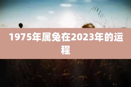 1975年属兔在2023年的运程