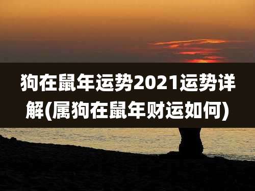狗在鼠年运势2021运势详解(属狗在鼠年财运如何)