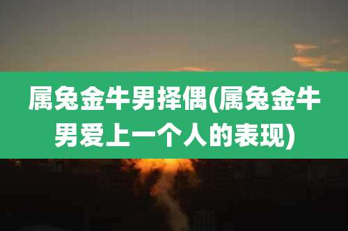 属兔金牛男择偶(属兔金牛男爱上一个人的表现)