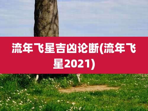 流年飞星吉凶论断(流年飞星2021)