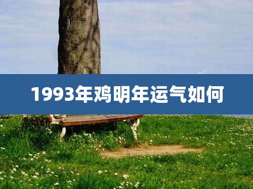 1993年鸡明年运气如何