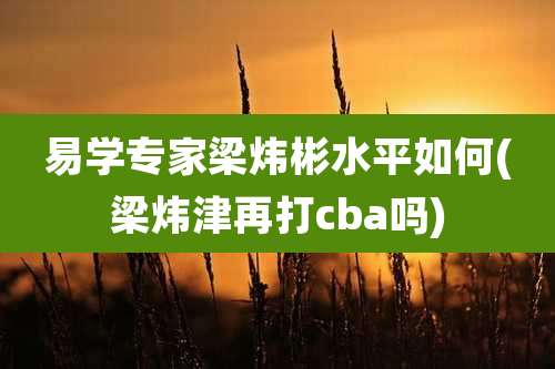 易学专家梁炜彬水平如何(梁炜津再打cba吗)
