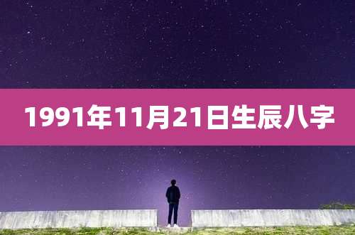 1991年11月21日生辰八字